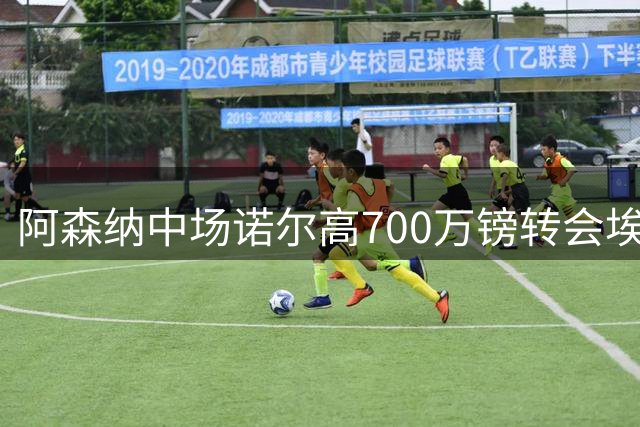 阿森纳中场诺尔高700万镑转会埃弗顿进入倒计时 体检完成即将官宣